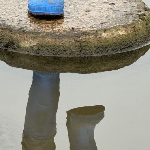 Photography Competition 2026